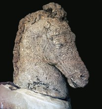 Greek marble horse's head, c.5th century BC. Artist: Unknown
