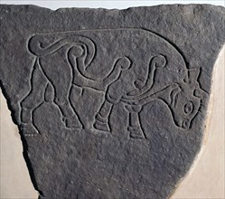 Pictish incised stone with a bull motif, 6th century. Artist: Unknown