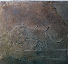 Assyrian relief of a wounded lion from Ashurbanipal, 7th century. Artist: Unknown
