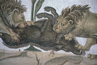 Detail of a Roman mosaic showing lions killing a boar, 2nd century. Artist: Unknown