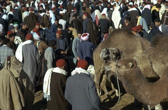 Camel market in Sousse.
