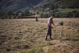 Turning hay by hand, farmer in Longdale Valley,  Lake District, c1960. Artist: CM Dixon.