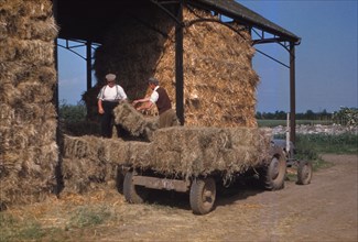 Stacking Bales of Hay in Dutch Barns, c1960s. Artist: CM Dixon.