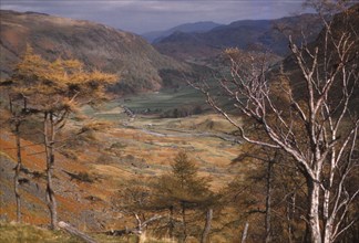 Upper Borrowdale valley in October, Lake District, Cumbria, 20th century. Artist: CM Dixon.