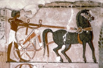 Egyptian Wallpainting from the Tomb of Nebanmun at Thebes, c1400 BC. Chariot and Attendant Artist: Unknown.