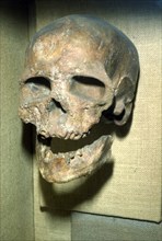 Cromagnon Skull Upper Paleolithic from France, c50,000BC-c10,000 BC. Artist: Unknown.