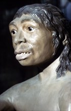 Neanderthal Woman: Reconstruction at British Museum, National History, c20th century. Artist: Unknown.