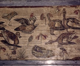 Roman Mosaic from Pompeii of ducks and frogs in a water garden, 1st century. Creator: Dioscurides of Samos.