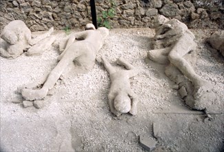 Casts of victims of eruption of Vesuvius in AD79, Pompeii, Italy, c20th century. Creator: Unknown.