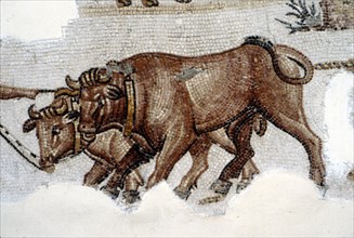 Roman Mosaic of Yoked Oxen, c3rd century. Artist: Unknown.