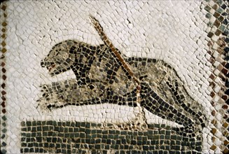 Roman Mosaic detail of Bear, from Diana the Huntress, Thuburbo Majus, Tunisia, c4th century. Artist: Unknown.