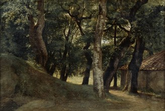 'Forest of the Villa Borghese', late 18th/early 19th century. Artist: Pierre Henri de Valenciennes
