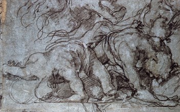 'The Fighters', 16th century.  Artist: Taddeo Zuccaro