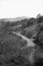 Country path, Appalachia, USA, c1917. Artist: Cecil Sharp