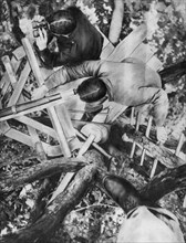 Observation post in a tree, Woevre, France, World War I, c1914. Artist: Unknown