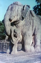 Elephant sculpture, Khajuraho, India.  c950-1050. (20th century). Artist: Unknown