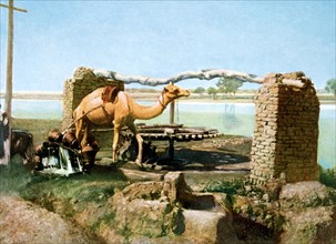 Camel and shaduf, Luxor, Egypt, 20th Century. Artist: Unknown