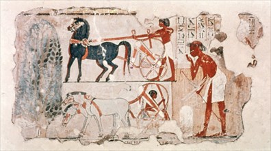 Fragment of Ancient Egyptian painted plaster depicting the account of the harvest, c1400 BC. Artist: Unknown