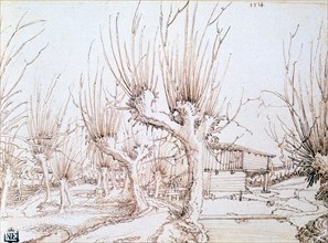 'Willow Plantation', 1514. Artist: Wolf Huber