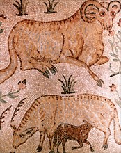 Roman mosaic of a ram, a cow and calf, 4th century AD. Artist: Unknown