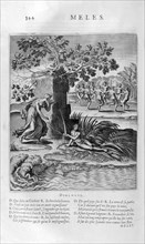 'River Meles', 1615. Artist: Bernard Picart