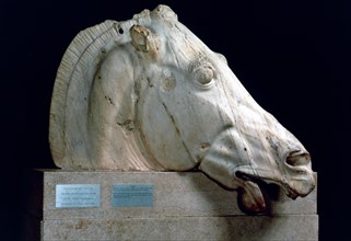 Head of a horse from the Chariot of Selene from the east pediment of the Parthenon, 447-432 BC. Artist: Unknown