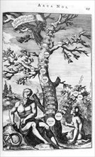 Genealogy tree of Adam, 1675.  Artist: Athanasius Kircher