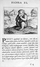 Prophecy figure XI from Prognosticatio Eximii Doctoris Paracelsi, 1536.  Artist: Theophrastus Bombastus von Hohenheim Paracelsus