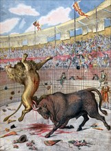 Combat between a lion and a bull, Spain, 1894. Artist: Unknown