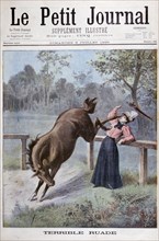A young woman is kicked by a horse, 1898. Artist: Henri Meyer
