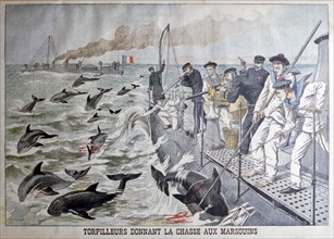 French torpedo boat's hunting porpoises, 1903. Artist: Unknown