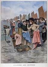 Oyster seller, 1902. Artist: Unknown