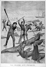 Seal hunting, Newfoundland, 1902. Artist: Unknown