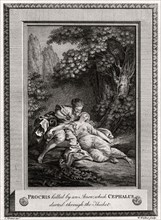 'Procris Killed by an arrow which Cephalus darted through the thicket', 1775. Artist: W Walker