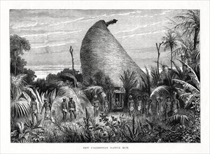 'New Caledonian Native Hut', southwest Pacific, 1877. Artist: Unknown