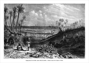 Landscape in the island of Cuba, 1859. Artist: Paul Huet