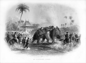 An elephant fight, India, 19th century. Artist: Unknown