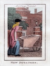 'New Potatoes', Middlesex Hospital, London, 1805. Artist: Unknown