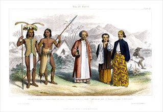 'Malay Race', 1800-1900.Artist: R Anderson