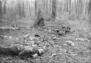 Aftermath of the fighting in the park of Plessis-de-Roye, Picardy, France, 30th March 1918. Artist: Unknown