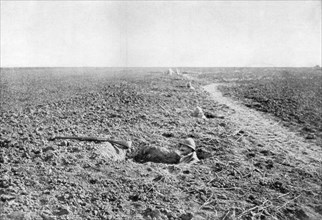 A line of French infantry foxholes, 1918. Artist: Unknown