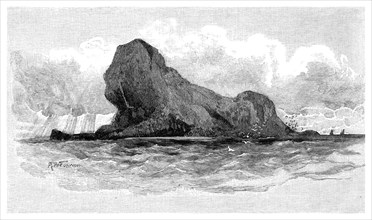 Lion Island, Australia, 1886. Artist: Unknown