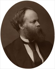 Samuel Plimsoll, Esq, MP, British Liberal politician and social reformer, 1876.Artist: Lock & Whitfield