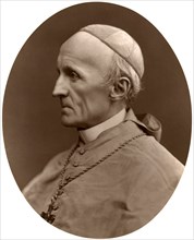 Cardinal Henry Edward Manning, Archbishop of Westminster, 1876.Artist: Lock & Whitfield