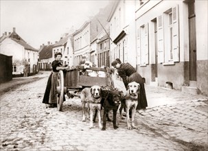 Women and dogcart, Antwerp, 1898. Artist: James Batkin