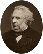 Sir Charles Reed, chairman of the London School Board, 1880.Artist: Lock & Whitfield