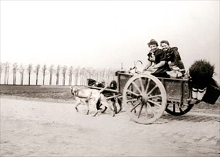 Dogs pulling women on a cart, Antwerp, 1898.Artist: James Batkin