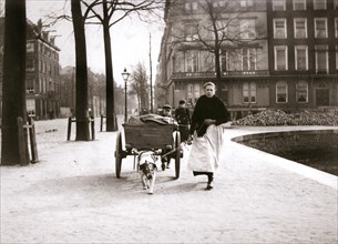 Woman with dogcart, Rotterdam, 1898.Artist: James Batkin