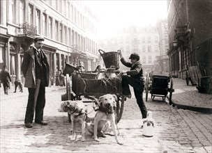 Boy with dogcart, Antwerp, 1898.Artist: James Batkin