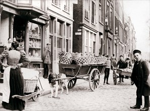 Dogcart, Antwerp, 1898.Artist: James Batkin